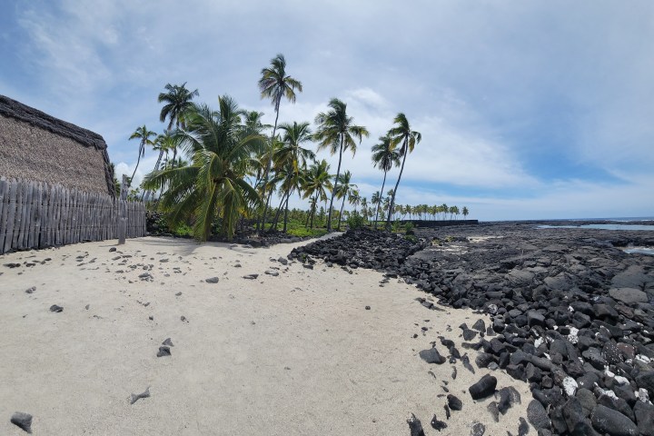 Tropical beach with palm trees, black rocks, sand, and a wooden fence structure.