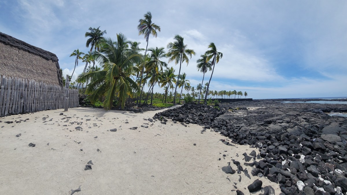 Tropical beach with palm trees, black rocks, sand, and a wooden fence structure.