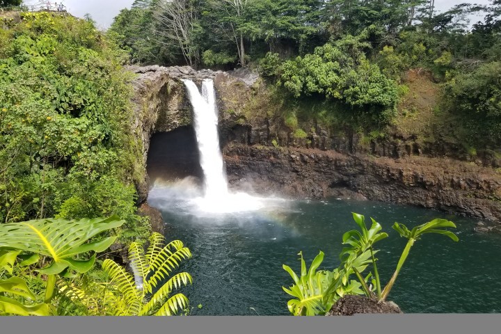 A waterfall cascading into a pool surrounded by lush green foliage and rocky cliffs.