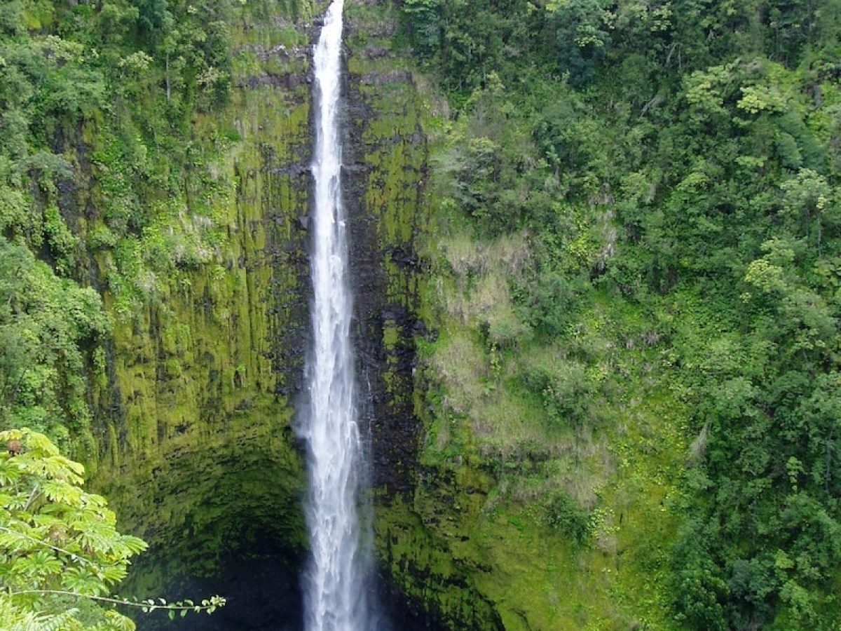 Tall waterfall cascading down verdant cliffs surrounded by lush green vegetation.