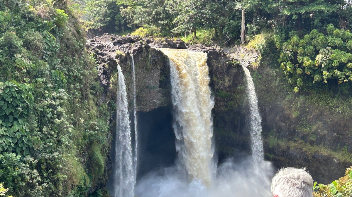 Waterfall cascading over a cliff surrounded by lush greenery, with people observing.