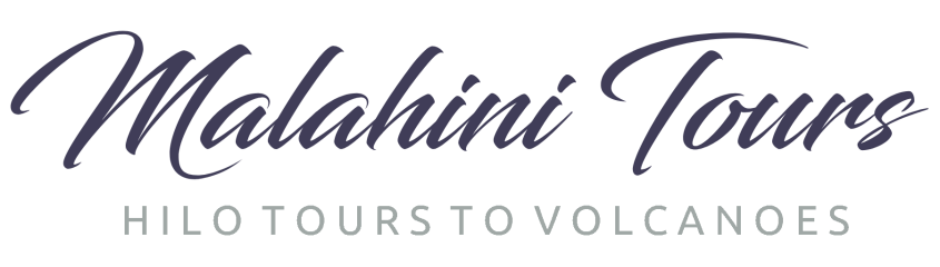 Malahini Tours