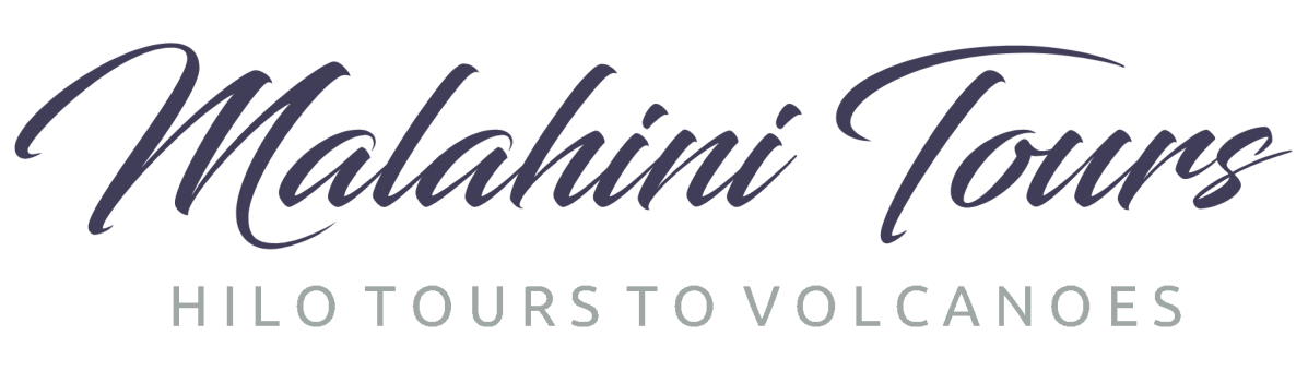 Logo reading 'Malahini Tours Hilo Tours to Volcanoes' in cursive and bold text.